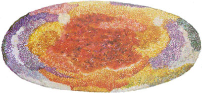 Fig.46, Painting by Monica Epstein of a 1909 planting plan by Gertrude Jekyll